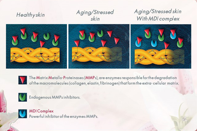 coverderm vanish mdi complex2